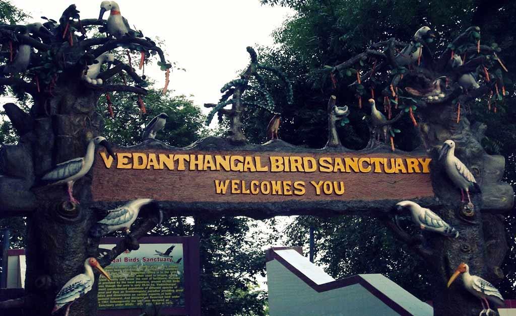 bird-sanctuaries-in-india-top-10-must-visit-bird-sanctuaries-in-india